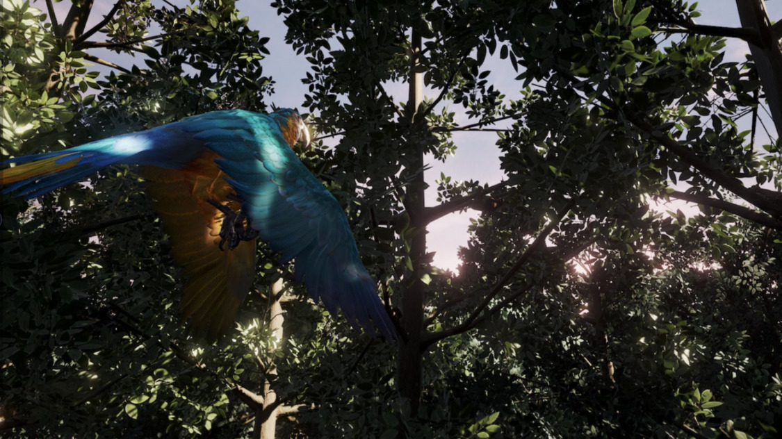 Image de l'expérience en réalité virtuelle sur l'écologie : Tree.