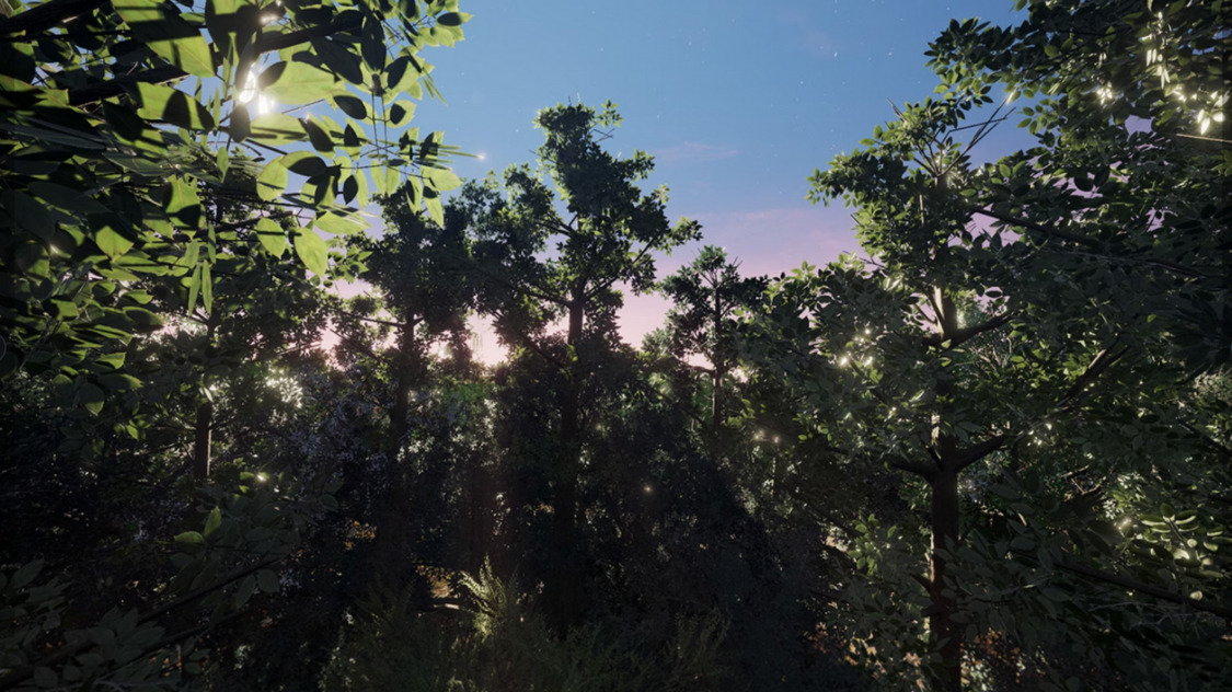 Image de l'expérience en réalité virtuelle sur l'écologie : Tree.