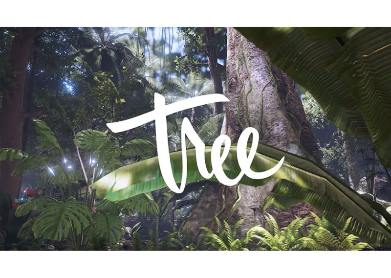 Image de couverture de l'expérience en réalité virtuelle sur l'écologie : Tree.