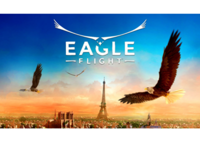 Eagle Flight