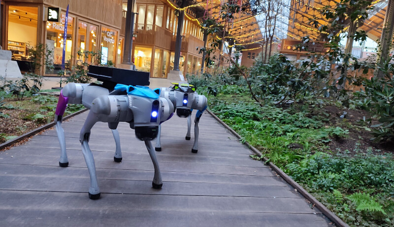 Animation technologique et innovante chien robot.